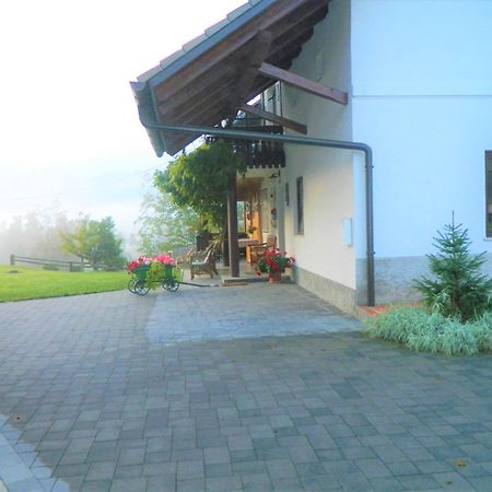 Apartma Biofit Bled Rom bilde