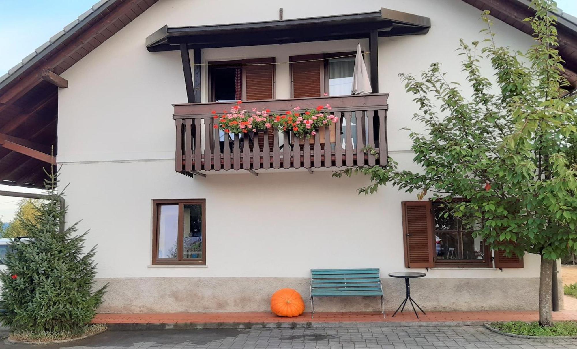 Apartma Biofit Bled Rom bilde